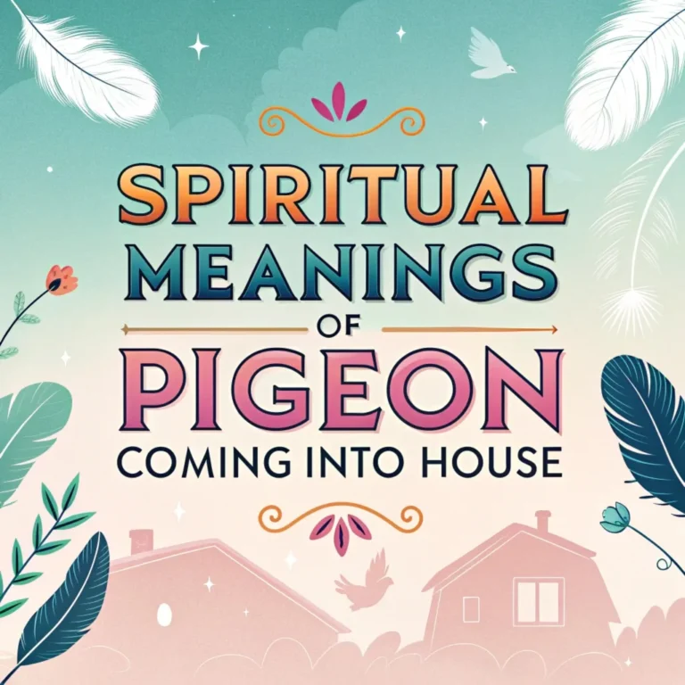 14 Spiritual Meanings of Pigeon Coming into Your House